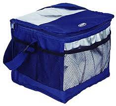 Bolsa Termica Cooler 10Lt - Mor